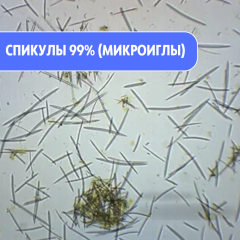 Sponge Spicules Спикула белая 99% (микроиглы)
