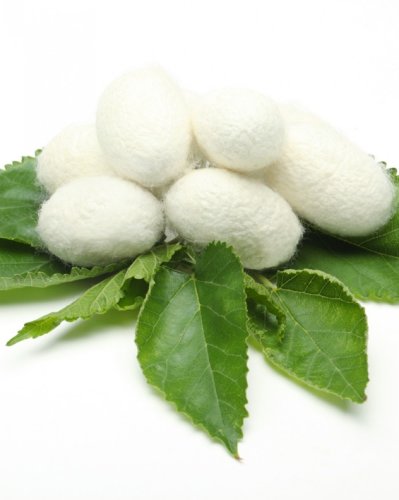 Гидролизованные протеины шелка  