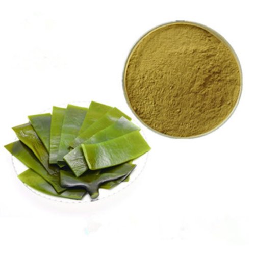 Ламинария порошок оптом